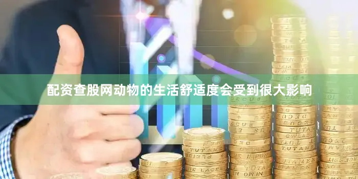 配资查股网动物的生活舒适度会受到很大影响