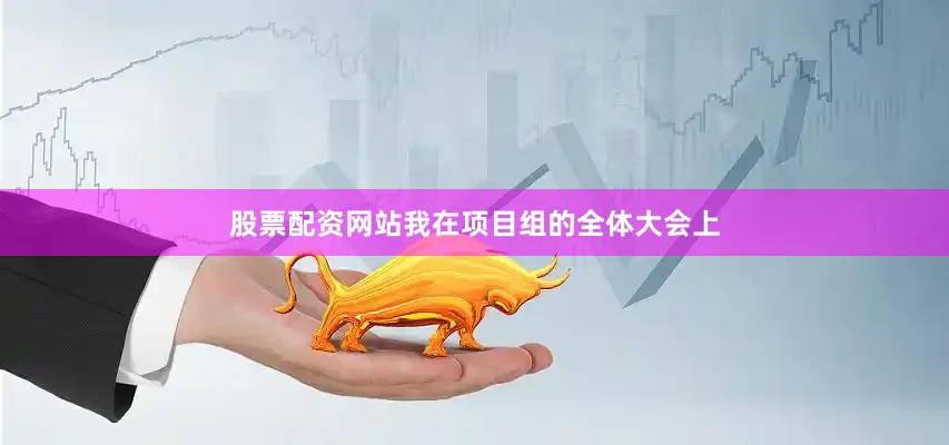 股票配资网站我在项目组的全体大会上