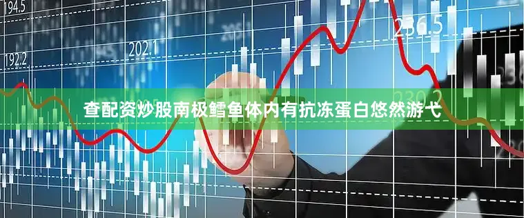 查配资炒股南极鳕鱼体内有抗冻蛋白悠然游弋